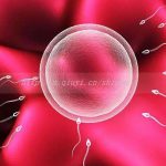 湖州三代试管借卵生子结构大全 湖州三代试管借卵生子结构大全