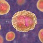 泰州三代试管私人生孩子机构推荐