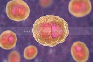 泰州三代试管私人生孩子机构推荐