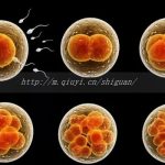 湘潭三代试管借卵生子结构排名榜揭晓