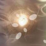 承德三代试管选择性别会出错吗 第三代试管性别选择