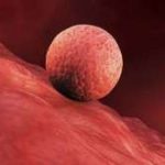 贵阳市妇幼保健院三代试管医生推荐[贵阳三代试管哪个医院最好]