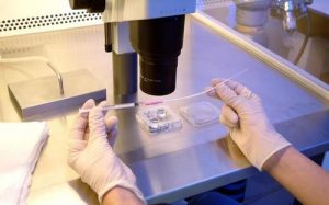 2023深圳三代试管婴儿包生男孩价格是多少钱？