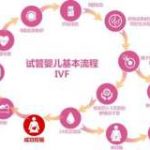 【时事新闻】三代试管是什么意思是什么方案 【时事新闻】三代试管是什么意思是什么方案