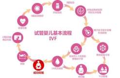 【时事新闻】三代试管是什么意思是什么方案