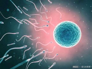 2023清远三代试管婴儿捐卵生孩子费用表在这，附10项目及价格表一览