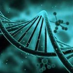 2023得了高催乳激素血症能不能做三代试管?附三代试管费用表! 2023得了高催乳激素血症能不能做三代试管?附三代试管费用表!