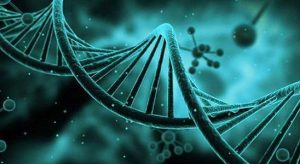 2023得了高催乳激素血症能不能做三代试管？附三代试管费用表！