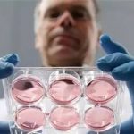 哈尔滨做第三代试管婴儿生龙凤胎要多少钱？