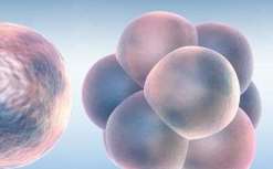 三代试管婴儿生龙凤胎费用需要多少钱？