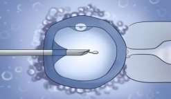 做试管打完生长激素下一步是什么[日照洗精试管费用多少钱]