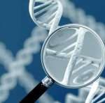 亚洲第一的pGD(第三代试管婴儿)成功率(泰国试管婴儿等待周期短)