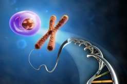 合肥第三代移植双胎成功率？合肥做第三代试管婴儿多少钱