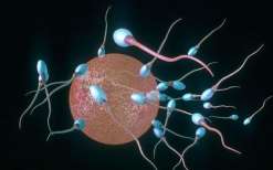 兰州三代试管包生男孩靠谱吗？