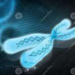 洛阳三代试管包生儿子？河南三代试管婴儿多少钱