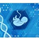 那曲三代试管包生男孩