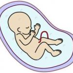 39岁试管成功率是缘分[45岁试管成功率]