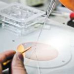 开封三代试管供卵生孩子费用是多少 开封三代试管供卵生孩子费用是多少