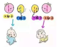 潮州三代试管捐卵生孩子的哪个费用更高