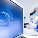 罗氏易位三代试管囊胚筛查成功率 罗氏易位三代试管成功率