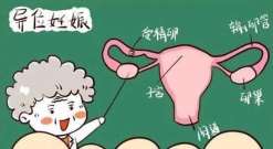 卵巢只有一两个窦卵泡是正常 正常卵巢有几个窦卵泡