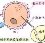 沧州三代试管助孕生双胞胎要花多少钱