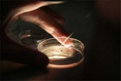 三代试管费用807