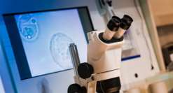 2023运城三代试管生混血婴儿费用详解，补偿加试管价格真要不了10万