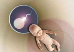 南京市妇幼保健院三代试管包生男孩价格多少