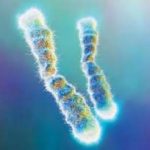 石家庄三代试管助孕生子