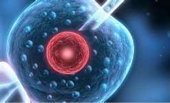 武汉高龄供卵成功率有多少