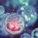 荆门第三代试管婴儿详细流程？荆门第三代试管婴儿详细流程图？