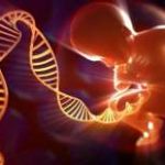 2023上海三代试管助孕生孩子费用详解，私人医院收费高真不可信