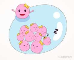 石家庄第三代试管男孩多还是女孩多