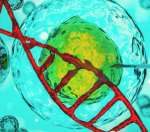 包生男孩就找第三代试管 包生男孩就找第三代试管