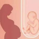 沈阳找人试管供卵宝宝_三代试管助孕机构 沈阳找人试管供卵宝宝_三代试管助孕机构