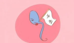 长沙三代试管助孕机构