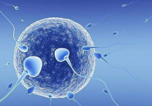 图们可以做三代试管婴儿的公立医院共有几家