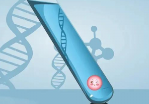 广东哪些私人医院可以做三代试管_人工助孕过程要多久