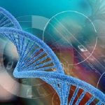 呼和浩特单角子宫三代试管能成功吗,红糖姜茶可以暖宫助孕