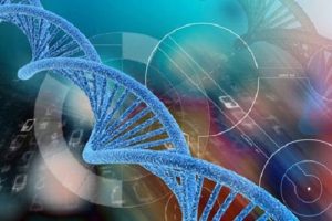 呼和浩特单角子宫三代试管能成功吗,红糖姜茶可以暖宫助孕