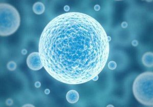 长沙第三代试管包生男孩价格大概要多少钱？