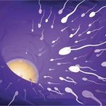 贺州第三代试管婴儿机构