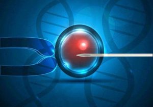 承德三代试管包成功 承德试管婴儿费用大约多少