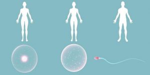 高龄试管最好的医院？和国内相比呢