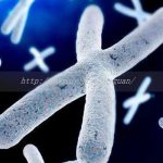 海口三代试管包生儿子需要多少钱，附生男孩费用一览