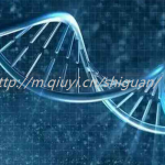 厦门三代试管助孕私人生孩子医院联系方式 厦门三代试管助孕私人生孩子医院联系方式