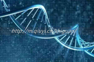 厦门三代试管助孕私人生孩子医院联系方式