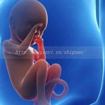 宁波三代试管婴儿借卵生子结构排行榜