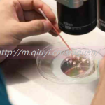 2023高龄能通过三代试管婴儿捐卵怀孩子吗 2023高龄能通过三代试管婴儿捐卵怀孩子吗